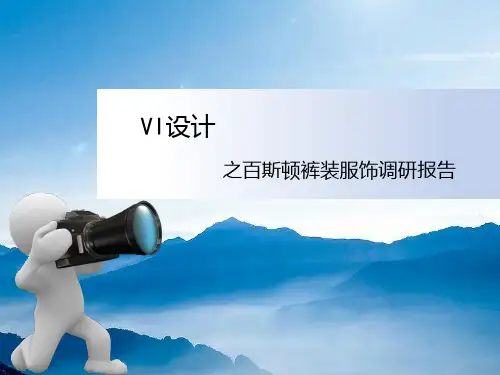 VI设计调研之百斯顿PPT课件