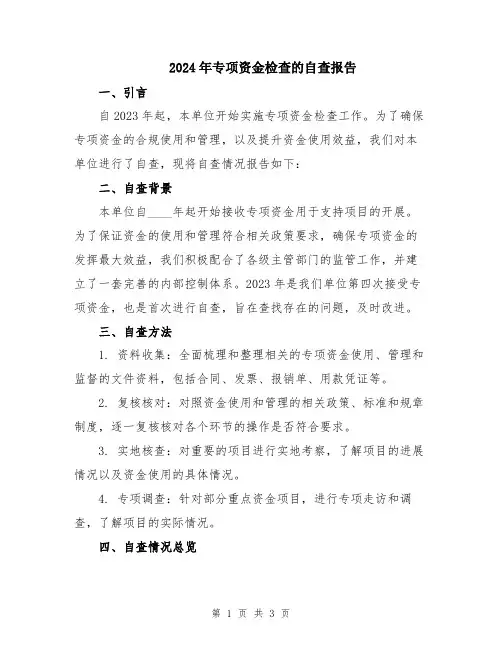 2024年专项资金检查的自查报告