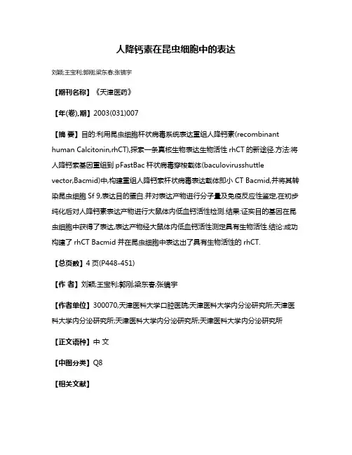 人降钙素在昆虫细胞中的表达
