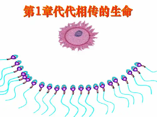 浙教版科学七年级下册第一章复习课件