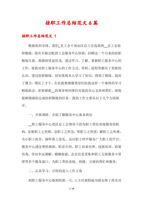 挂职工作总结范文6篇