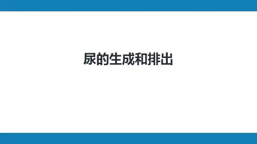 第九版生理学第八章 尿的生成和排泄