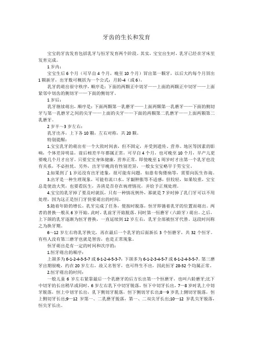 牙齿的生长和发育