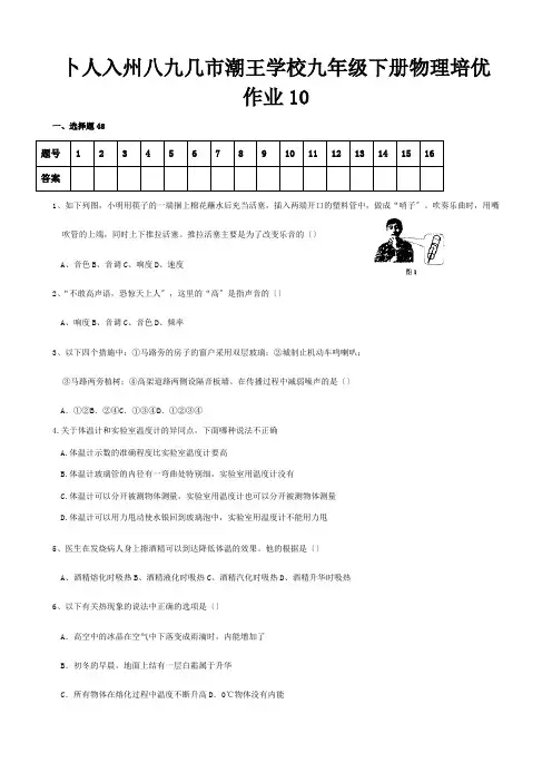 九年级物理下学期培优作业10  试题