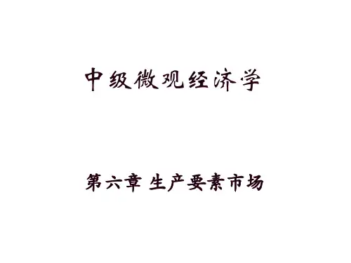 中级微观经济学 第六章