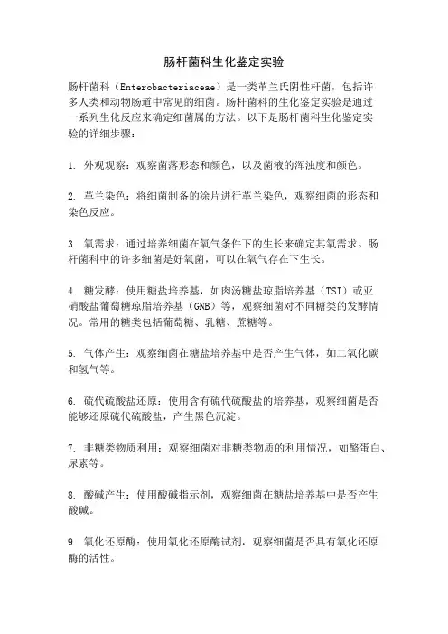肠杆菌科生化鉴定实验
