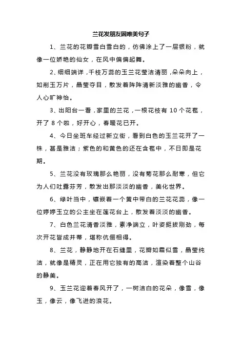 兰花发朋友圈唯美句子