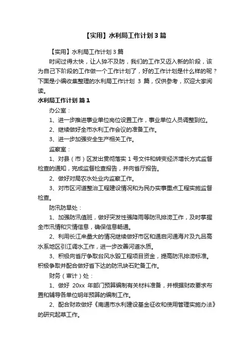 【实用】水利局工作计划3篇
