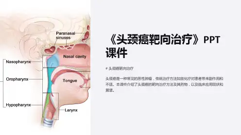 《头颈癌靶向治疗》课件