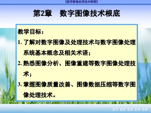 医学影像实用技术 第2章 数字图像技术基础PPT