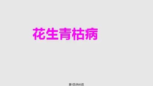 花生病害防治PPT课件