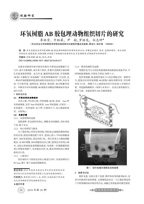 环氧树脂AB胶包埋动物组织切片的研究