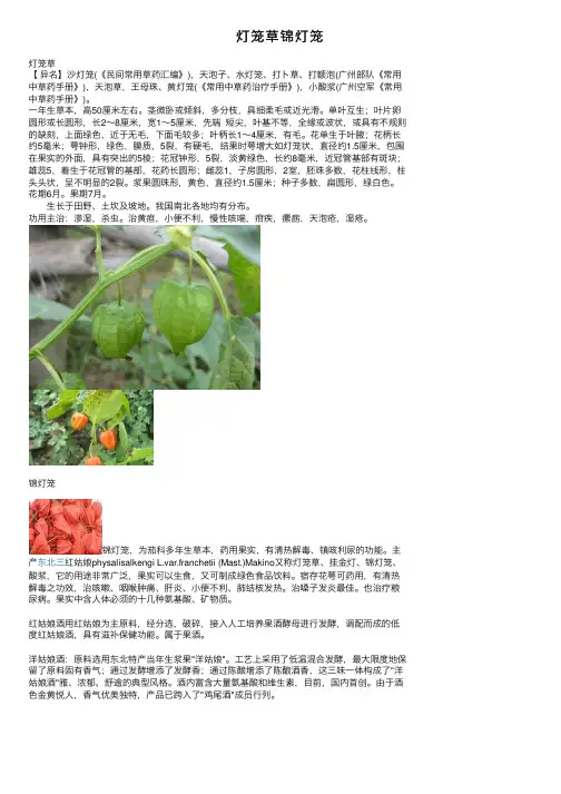 灯笼草锦灯笼