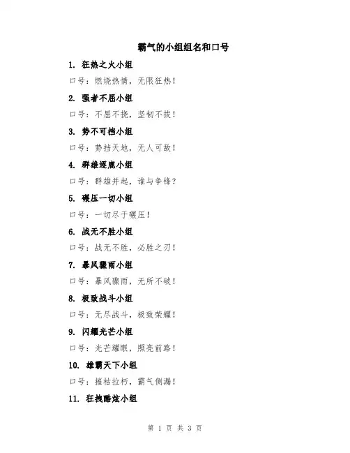 霸气的小组组名和口号