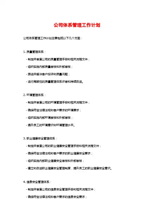 公司体系管理工作计划
