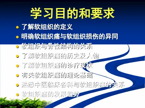 软组织痛概述PPT课件