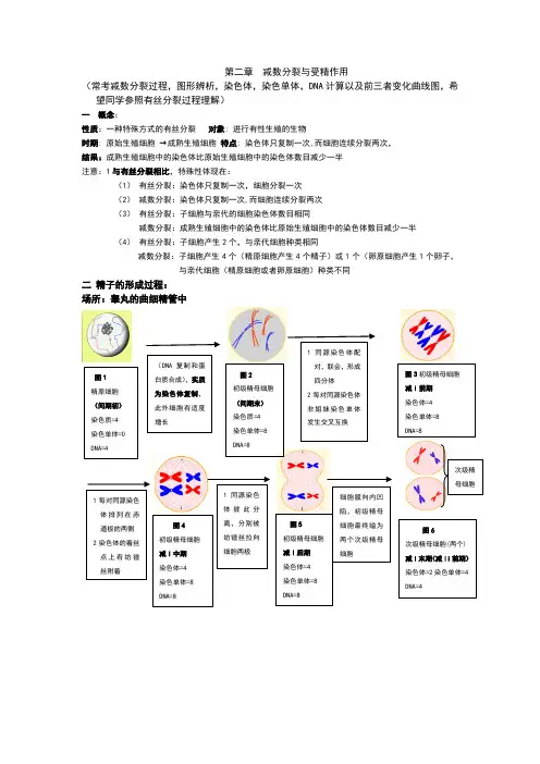 减数分裂知识总结