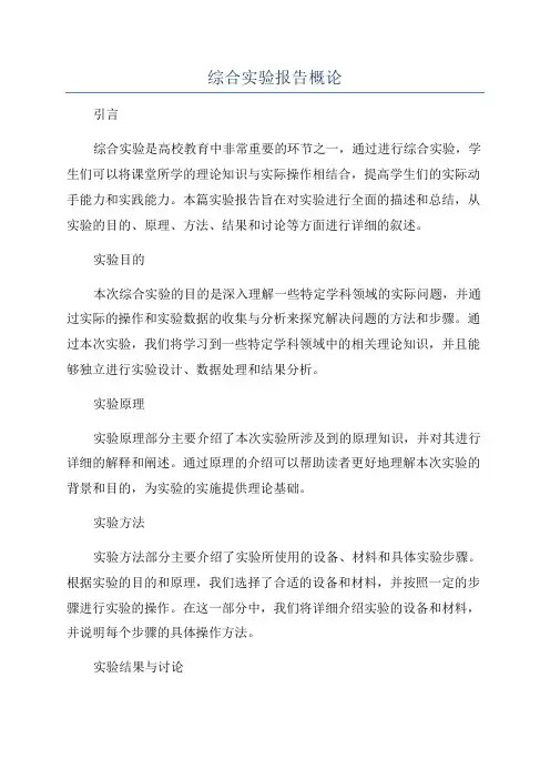 综合实验报告概论
