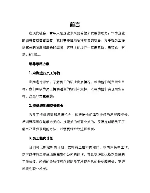 培养青年员工思路方案