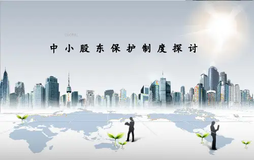 中小股东保护制度.精讲PPT课件