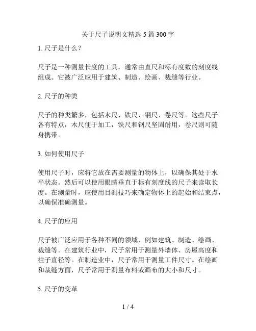 关于尺子说明文精选5篇300字