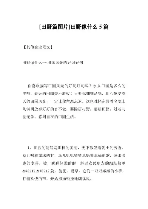 [田野篇图片]田野像什么5篇
