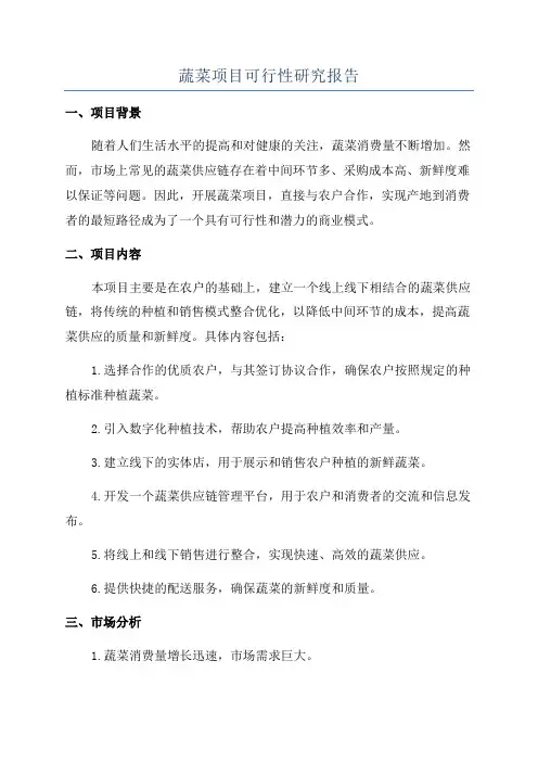 蔬菜项目可行性研究报告