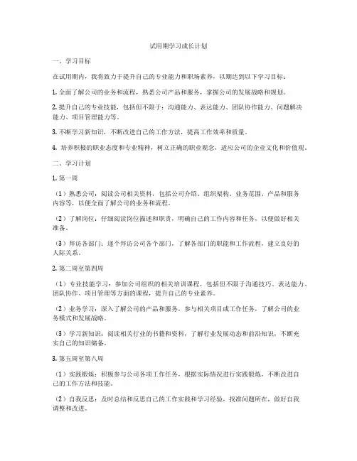 试用期学习成长计划