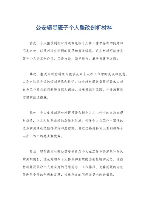 公安领导班子个人整改剖析材料