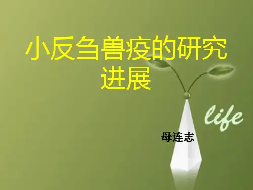 课件：小反刍兽疫