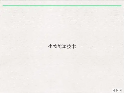 生物能源技术PPT精选