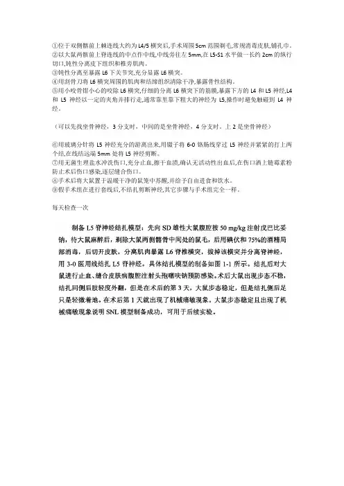 大鼠脊神经结扎术手术步骤