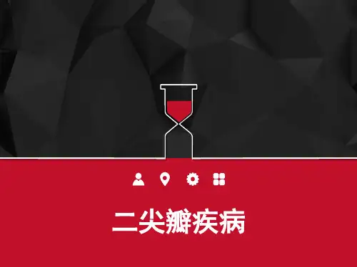 二尖瓣疾病 PPT