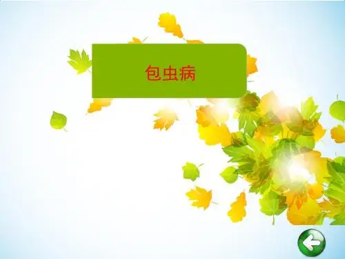 (优质医学)包虫病健康教育指导