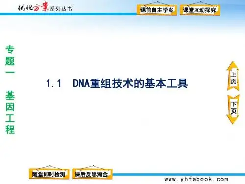 DNA重组技术的基本工具
