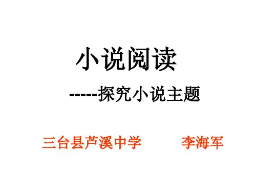 小说阅读(探究主题)