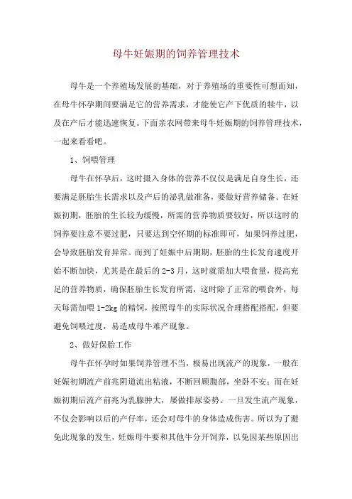 母牛妊娠期的饲养管理技术