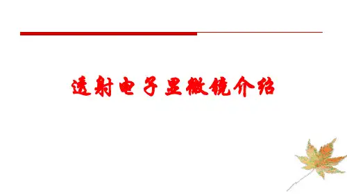 透射电子显微镜介绍