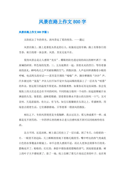 风景在路上作文800字