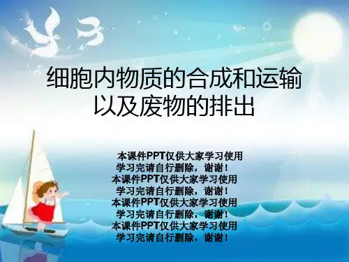 细胞内物质的合成和运输以及废物的排出