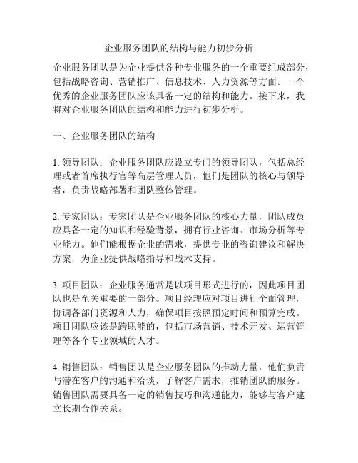 企业服务团队的结构与能力初步分析