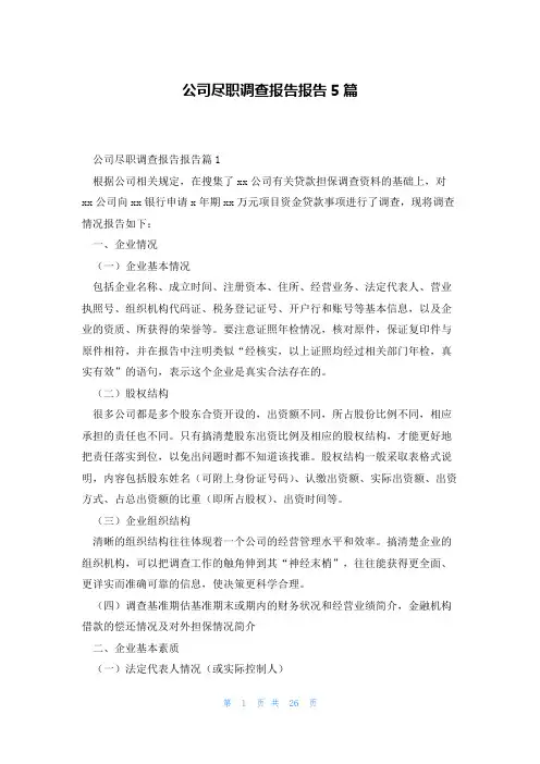 公司尽职调查报告报告5篇