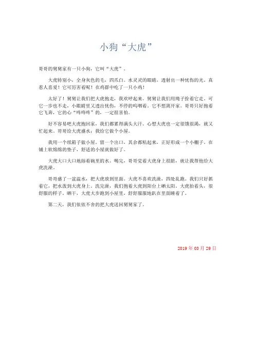 小学记叙文 小狗“大虎”-精品