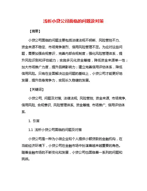 浅析小贷公司面临的问题及对策
