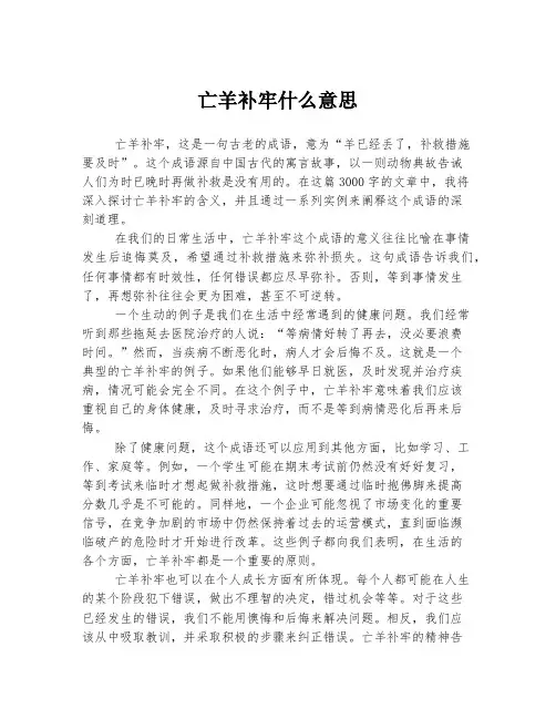 亡羊补牢什么意思