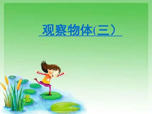 人教版《观察物体(三)》(完美版)PPT课件2