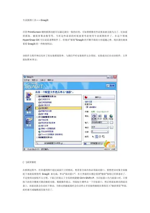 专业抓图工具SnagIt