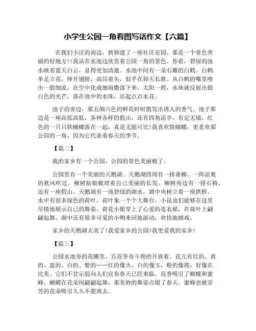 小学生公园一角看图写话作文【六篇】