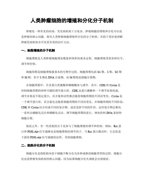 人类肿瘤细胞的增殖和分化分子机制