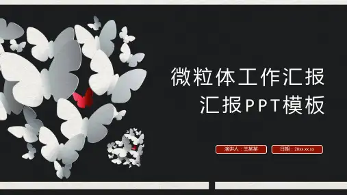 促销活动总结ppt